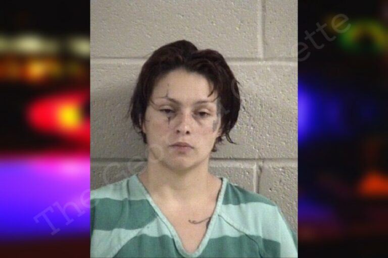 Dalton woman driving with baby in lap charged with DUI, endangering child during arrest