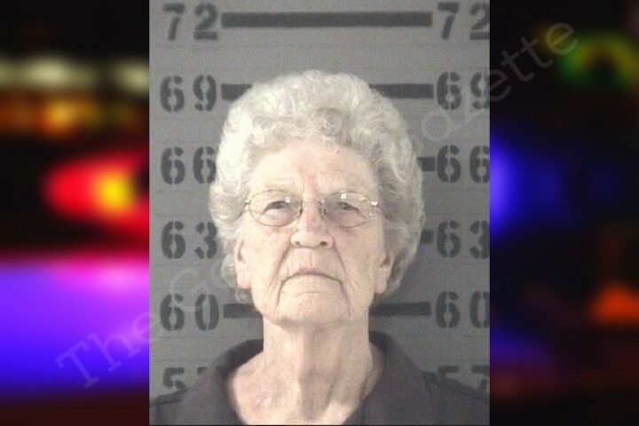 Elderly Albany woman arrested for shooting fireworks that struck child 1