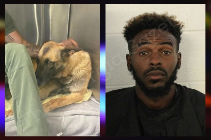 Man wanted in two counties remains on the run after shooting Bartow K9 during pursuit police say